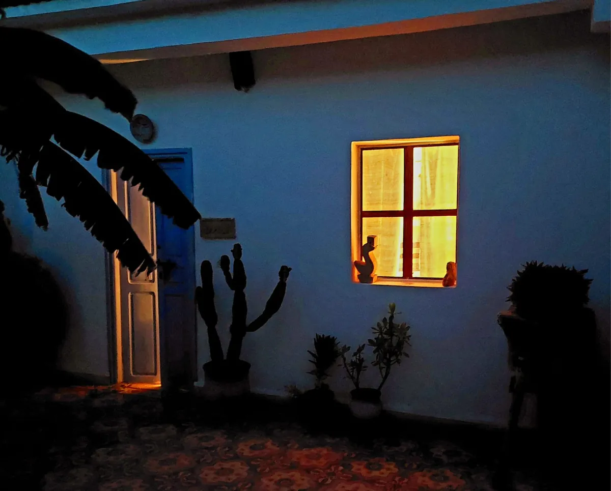 La cour à la tombée de la nuit, une fenêtre éclairée et la silhouette des plantes contre le mur.